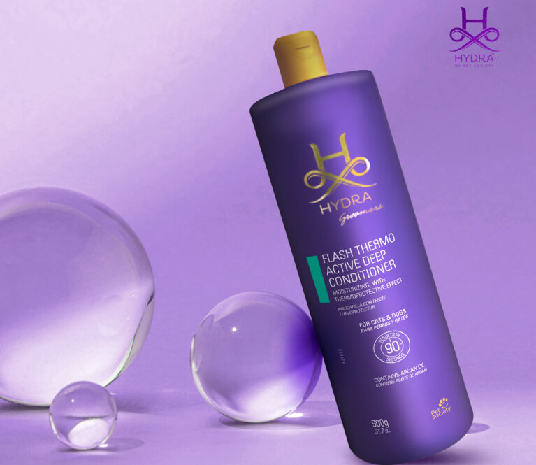 01 carrossel flash thermo active e thermo active spray sem texto 01